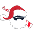 Wingman Natal 2018