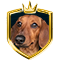 Gamers Club Partner - Lett
