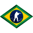 Wingman cs_rio